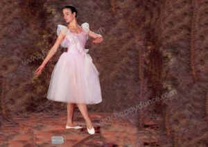 Tutu Largo Fantasia en Maillot 229