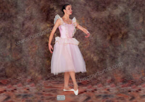 Tutu Largo Fantasia en Maillot 229
