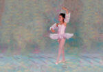 Tutu Corto Fantasia Adornos y Manguitos Gasa en Maillot 229