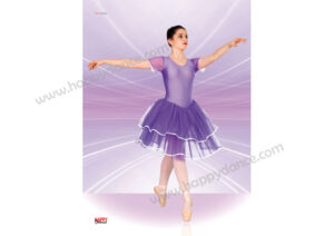 Tutu Ballet Largo Rodilla en Maillot 1005 S/M